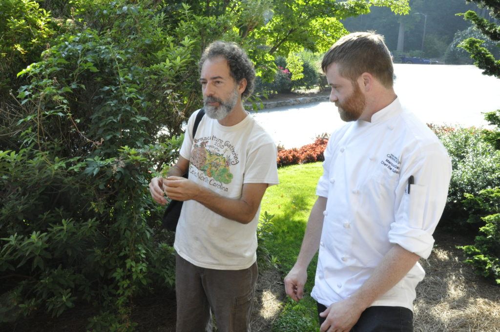 foraging asheville