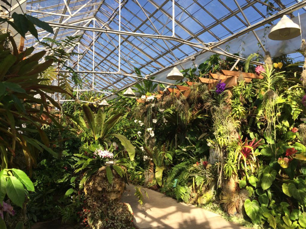 Marie Selby Botanical Gardens sarasota