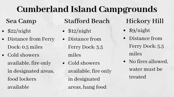 Cumberland Island Campgrounds