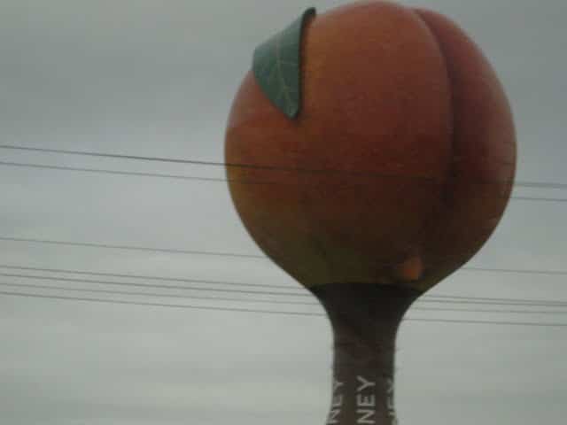 Gaffney Peach