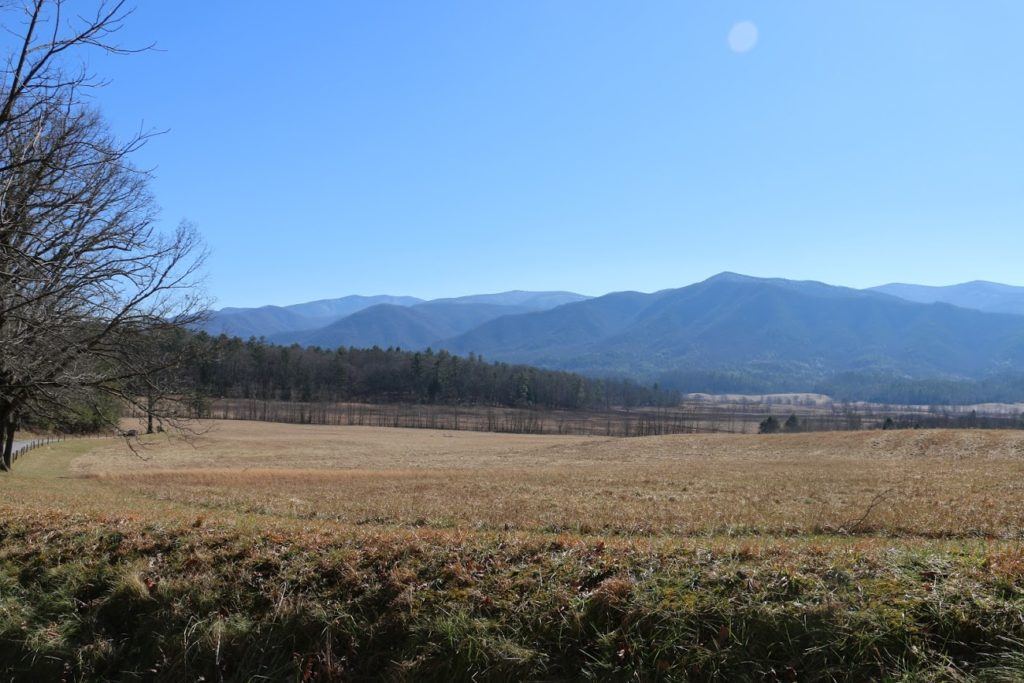 Max Patch, Credit: Sammi Eubanks